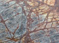 Brown Forest