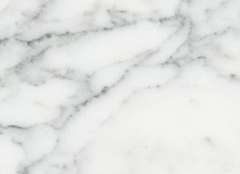 Carrara White