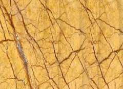 Golden Forest
