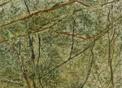 Green Forest