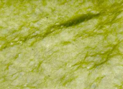 Verde Ming