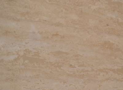 Classico Vein Cut