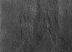 Jakrana Black