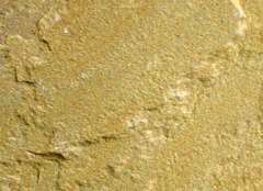 Lalitpur Yellow