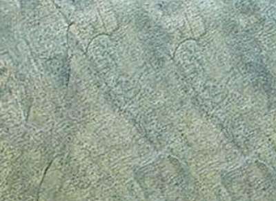 Zeera Green