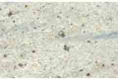 KASHMIR WHITE