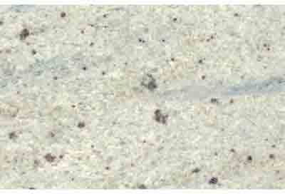 KASHMIR WHITE