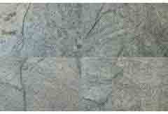 SILVER GREY