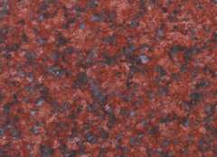 Jhansi Red Bundela