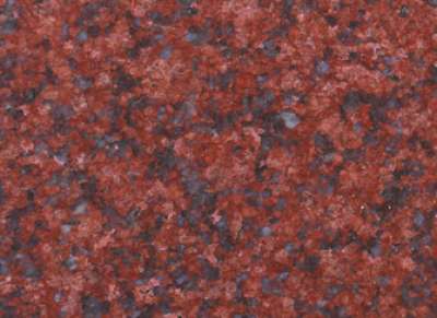 Jhansi Red Bundela